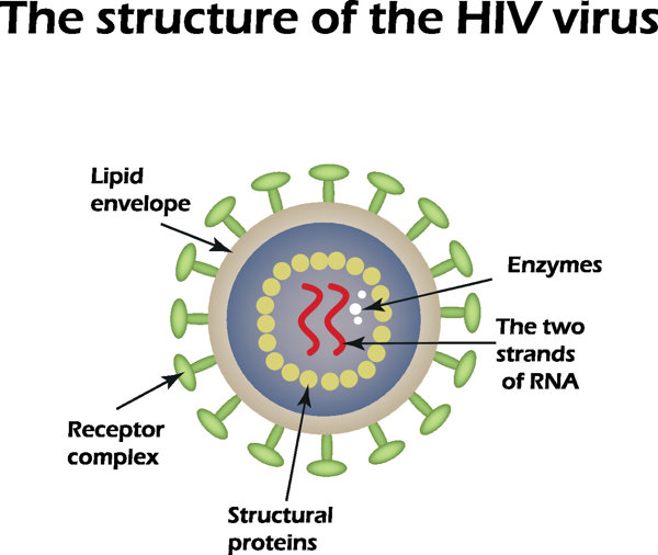 艾滋梅毒怎么检查