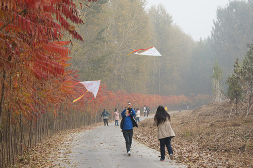 北京培黎职业学院杜杜风筝